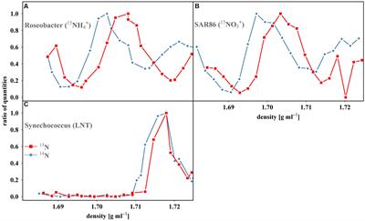 Intraclade Heterogeneity in Nitrogen Utilization by <mark class="highlighted">Marine Prokaryotes</mark> Revealed Using Stable Isotope Probing Coupled with Tag Sequencing (Tag-SIP)